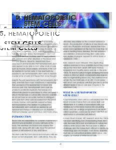 Adult stem cell / Stem cell factor / Stem cell / Cord blood bank / Haematopoiesis / CD90 / Mesenchymal stem cell / National Marrow Donor Program / CD34 / Biology / Stem cells / Hematopoietic stem cell
