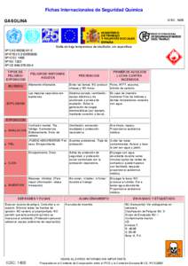 Nº CAS[removed]International Chemical Safety Cards (WHO/IPCS/ILO)