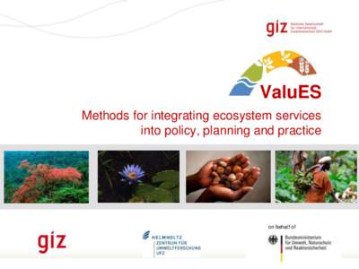 ValuES Methods for integrating ecosystem services into policy, planning and practice on behalf of