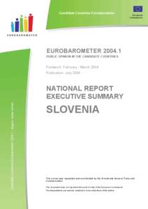 Microsoft Word - CCEB[removed]NatRep Summary SLOVENIA.doc