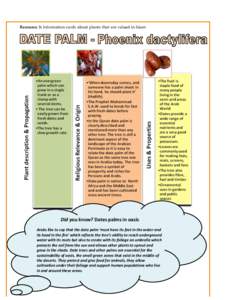 Resource 3: Information cards about plants that are valued in Islam       Did you know? Dates palms in oasis 