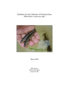 Microsoft Word - Guidelines for the Collection of Nooksack Dace.doc