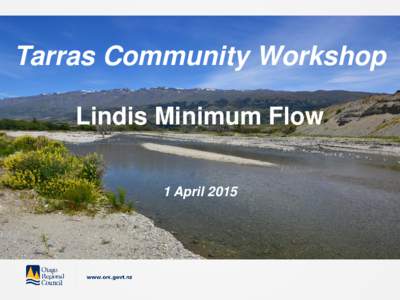 Tarras Community Workshop Lindis Minimum Flow 1 April 2015 Discussion about:  Lindis values