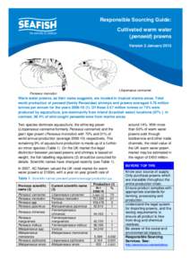 Responsible Sourcing Guide: Cultivated warm water (penaeid) prawns Version 2 JanuaryLitopenaeus vannamei