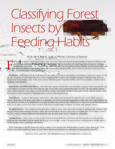 Classifying Forest Insects by Feeding Habits F  By Dr. David Mercker, Extension Forester, University of Tennessee
