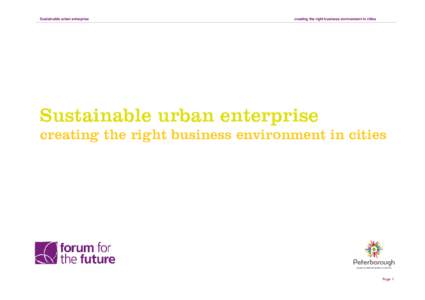 Microsoft Word - OP - sustainable business environment report - FINAL FINAL.docx