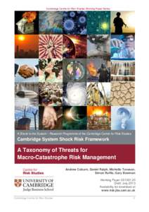 PDF - A Taxonomy of Threats for Macro-Catastrophic Risk Management - working paper