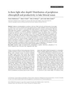 L A K E B E N T H I C A L GAE  Is there light after depth? Distribution of periphyton chlorophyll and productivity in lake littoral zones Yvonne Vadeboncoeur1,3, Shawn P. Devlin1,4, Peter B. McIntyre2,5, and M. Jake Vand