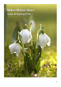 Milton Malsor News Issue 44 Spring[removed]  Milton Malsor Parish Council