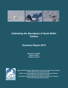 Estimating the Abundance of South Baffin Caribou