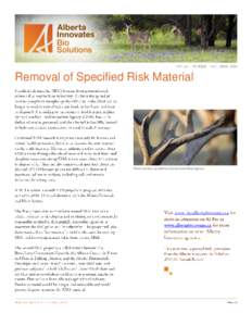 ·  Removal of Specified Risk Material Photo courtesy of Alberta Livestock and Meat Agency