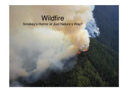 Wildfire Smokey’s Horror or Just Nature’s Way? This Thing Called Fire Chemical Reaction of Oxygen and Fuel.