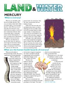 & MERCURY What is mercury? Mercury is a versatile, volatile and variable element. Mercury is a heavy metal which does not break down; it can be vapor, liquid or solid. Mercury occurs