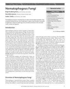 Nematophagous Fungi  Advanced article