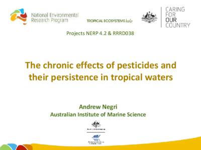 Projects NERP 4.2 & RRRD038  The chronic effects of pesticides and their persistence in tropical waters Andrew Negri