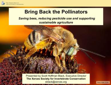 Biology / Insect ecology / Bees / Pollinators / Pollinator decline / Bombus occidentalis / Pollinator / Bumble bee / Bee / Plant reproduction / Pollination / Beekeeping