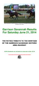 WILD CAT TEA (Anderson Trotman) running home to convincing victory in THE GARRISON SAVANNAH (HANDICAP) (Photograph by Junior Franklyn) Garrison Savannah Results For Saturday June 21, 2014 THE PAYING TRIBUTE TO THE HERITA