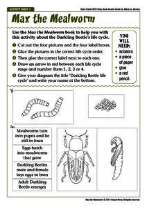 Activity Sheet 1  Steve Parish KIDS Story Book Insects Series by Rebecca Johnson Max the Mealworm Use the Max the Mealworm book to help you with