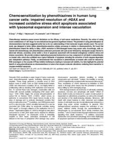 Chemosensitization by phenothiazines in human lung cancer cells: impaired resolution of &gamma;H2AX and increased oxidative stress elicit apoptosis associated with lysosomal expansion and intense vacuolation