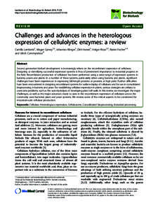 An upper limit for macromolecular crowding effects