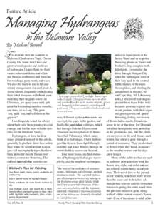 Feature Article  Managing Hydrangeas in the Delaware Valley  By Michael Bowell