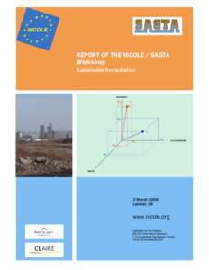 REPORT OF THE NICOLE / SAGTA Workshop: Sustainable Remediation economic ec2