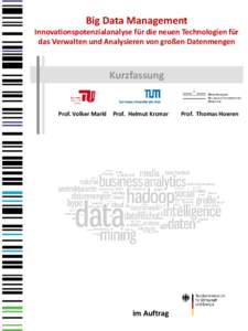 Big Data Management Innovationspotenzialanalyse für die neuen Technologien für das Verwalten und Analysieren von großen Datenmengen Kurzfassung