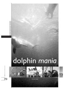 Study Guide/Doplhin Manianewf