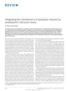 Integrating the mechanisms of apoptosis induced by endoplasmic reticulum stress