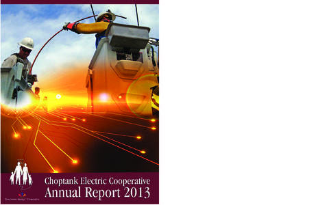 Letter  Annual Report 2013 to our Members