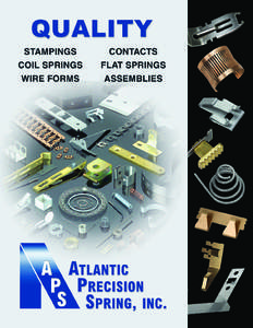 Atlantic Precision Spring