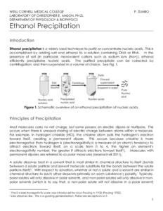 Chemical compounds / Alcohols / Laboratory techniques / Ethanol precipitation / Solvent / Solubility / Ethanol / Solvation / Precipitation / Chemistry / Solutions / Molecular biology