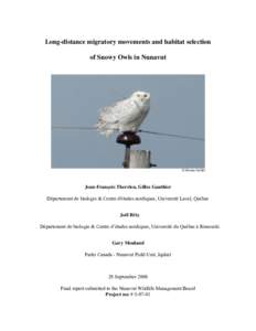 Long-distance migratory movements and habitat selection of Snowy Owls in Nunavut © Marten Stoffel  Jean-François Therrien, Gilles Gauthier