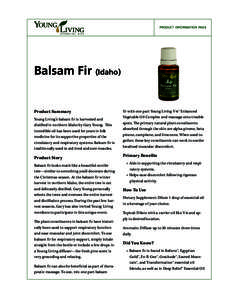 product information page  Balsam Fir (Idaho) Product Summary Young Living’s balsam fir is harvested and