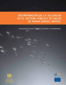 MARÍA BEATRIZ ALKMIM, ANTONIO LUIZ RIBEIRO Y COLABORADORES  Alianza para la sociedad de la información