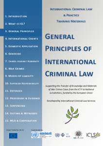 International Criminal Law & Practice 1. Introduction  Training Materials