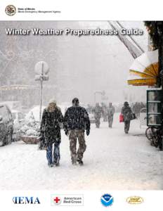 State of Illinois Illinois Emergency Management Agency Winter Weather Preparedness Guide  1