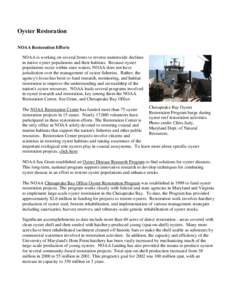 Oyster Restoration NOAA Restoration Efforts NOAA is working on several fronts to reverse nationwide declines in native oyster populations and their habitats. Because oyster populations occur within state waters, NOAA doe