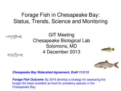 Forage Fish in Chesapeake Bay: Status, Trends, Science and Monitoring