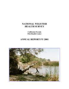 NATIONAL WILD FISH HEALTH SURVEY California-Nevada Fish Health Center  ANNUAL REPORT FY 2001