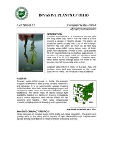 INVASIVE PLANTS OF OHIO Fact Sheet 12 Eurasian Water-milfoil Myriophyllum spicatum DESCRIPTION: