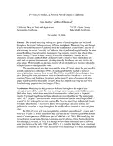 Ferrisia gilli Gullan, A Potential Pest of Grapes in California Kris Godfrey1 and David Haviland2 1 California Dept. of Food and Agriculture Sacramento, California