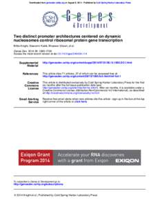 Molecular genetics / DNA / Protein methods / Chip-sequencing / Rap1 / Promoter / Chromatin immunoprecipitation / Nucleosome / E-box / Biology / Gene expression / Transcription factors