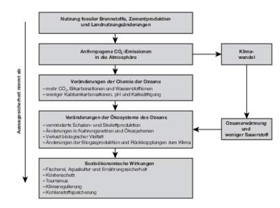 Nutzung fossiler Brennstoffe, Zementproduktion und Landnutzungsänderungen Aussagesicherheit nimmt ab  Anthropogene CO2-Emissionen