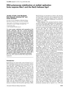 The EMBO Journal Vol. 22 No. 16 pp. 4325±4336, 2003  DNA polymerase stabilization at stalled replication forks requires Mec1 and the RecQ helicase Sgs1  Jennifer A.Cobb, Lotte Bjergbaek,