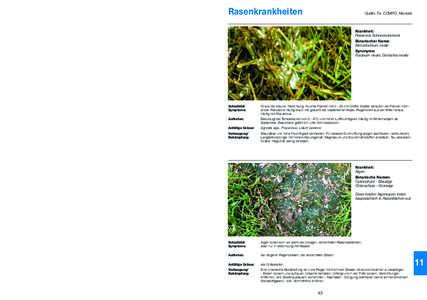 Probleme mit dem Rasen? Problem: Rasenkrankheiten  Quelle: Fa. COMPO, Münster