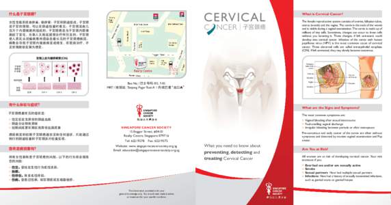Cervical Cancer Leaflet (white)