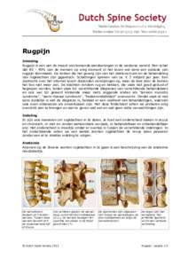Rugpijn Inleiding Rugpijn is een van de meest voorkomende aandoeningen in de westerse wereld. Men schat dat% van de mensen op enig moment in het leven wel eens een episode van rugpijn doormaakt. De kosten die het