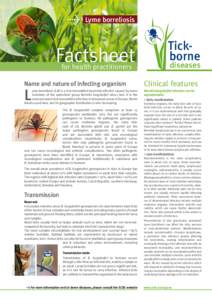 Biology / Tick-borne disease / Erythema chronicum migrans / Borrelia burgdorferi / Neuroborreliosis / Borrelia / Acrodermatitis chronica atrophicans / Human granulocytic anaplasmosis / Infection / Lyme disease / Microbiology / Medicine