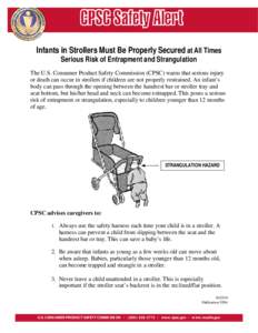 Stroller Safety Alert - Publication 5096